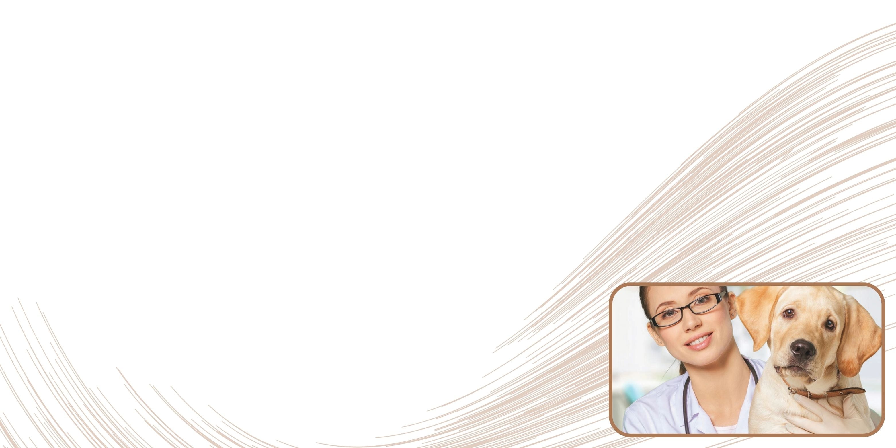 banner-bottom